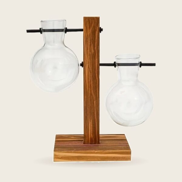 Bulb Vase Propagation Station