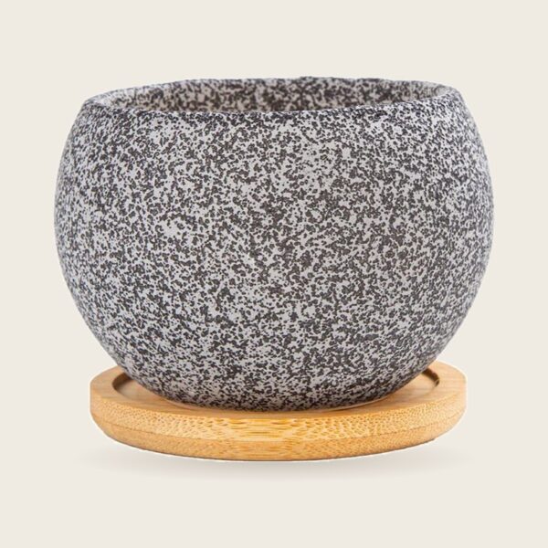 Cute Ceramic Succulent Pot