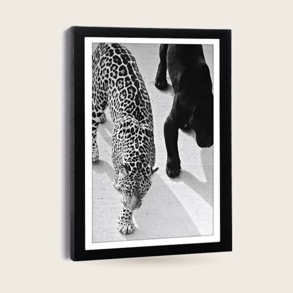 Framed Wild Animal Canvas Print